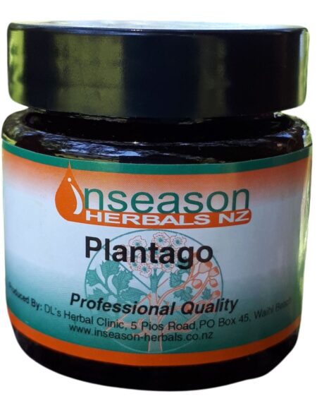 Plantago - Natural Remedy for Insect Bites and Stings